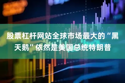 股票杠杆网站全球市场最大的“黑天鹅”依然是美国总统特朗普