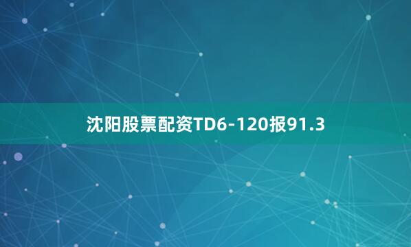 沈阳股票配资TD6-120报91.3