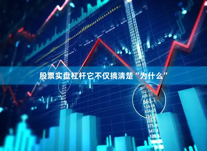 股票实盘杠杆它不仅搞清楚“为什么”