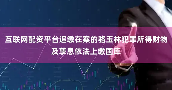互联网配资平台追缴在案的骆玉林犯罪所得财物及孳息依法上缴国库